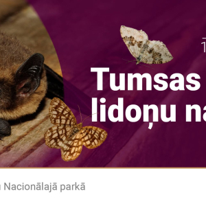 Night Flyers Night | Ķemeri National Park