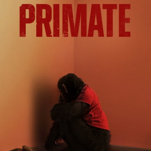 Mākslas un animācijas filmu programma | Star Cinema Jūrmala