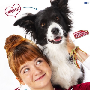 Mākslas un animācijas filmu programma | Star Cinema Jūrmala