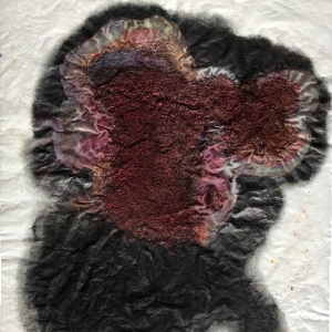 Mākslinieka Jura Petraškeviča personālizstādes “Noberzumi” atklāšana | Jūrmalas muzejs