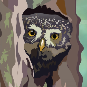  Putnu dienas | Dabiski, veci meži – apodziņa mājas | Ķemeru Nacionālā parka dabas centrs “Meža māja”