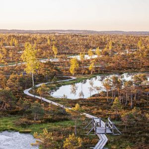 Sunset at the Great Ķemeri Bog