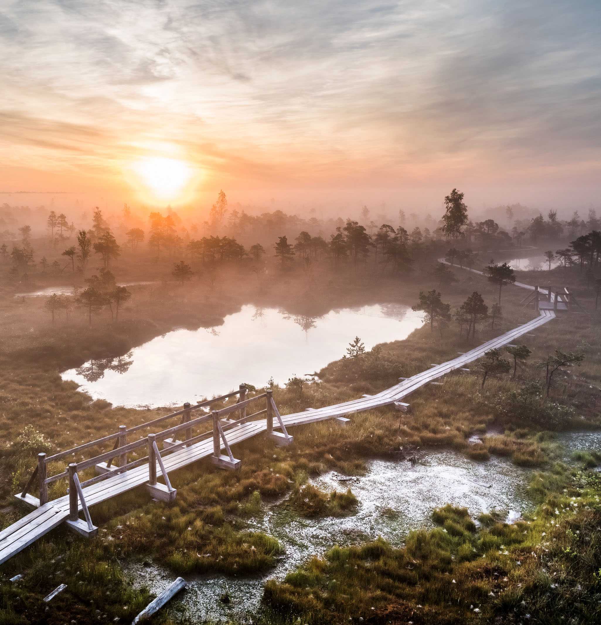 Gamtos parkai ir takai