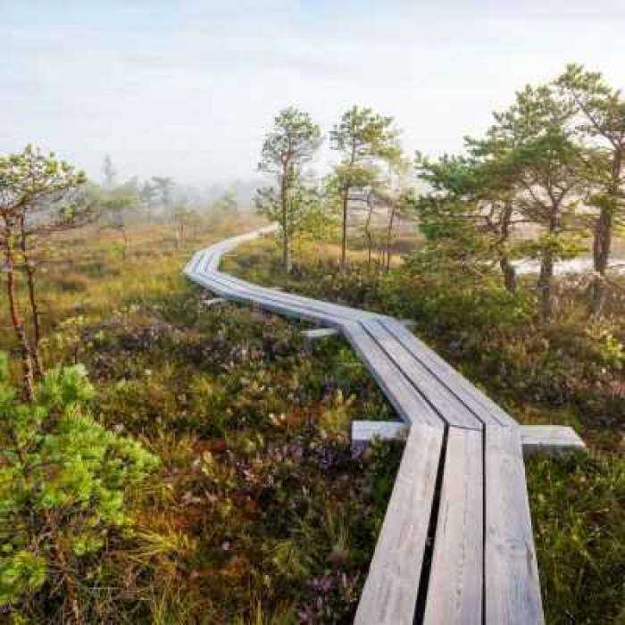 Gamtos parkai ir takai