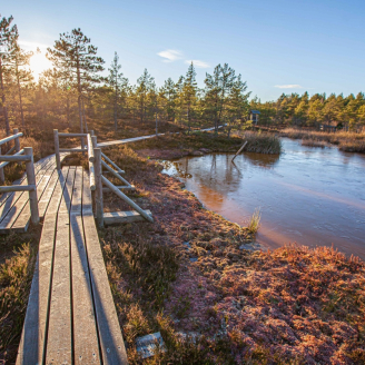 Jalutuskäigud