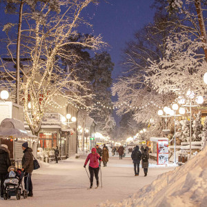Winter Treasure in Jūrmala