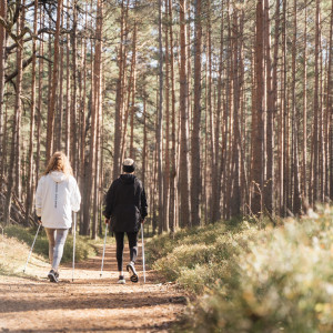 Discover 7 less known nature trails around Jūrmala