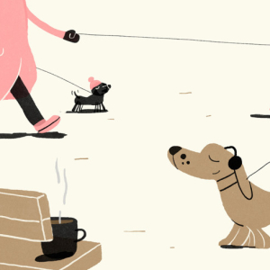 Dog-friendly beach in autumn and winter!