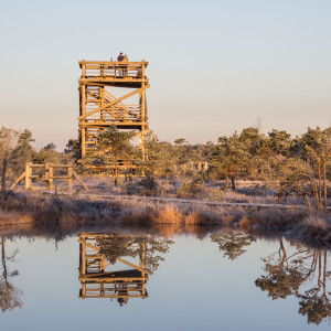 TrekToursi matk Ķemeris, Jūrmalas
