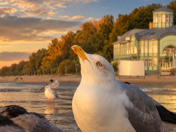 Where to warm up after a walk in Jūrmala?